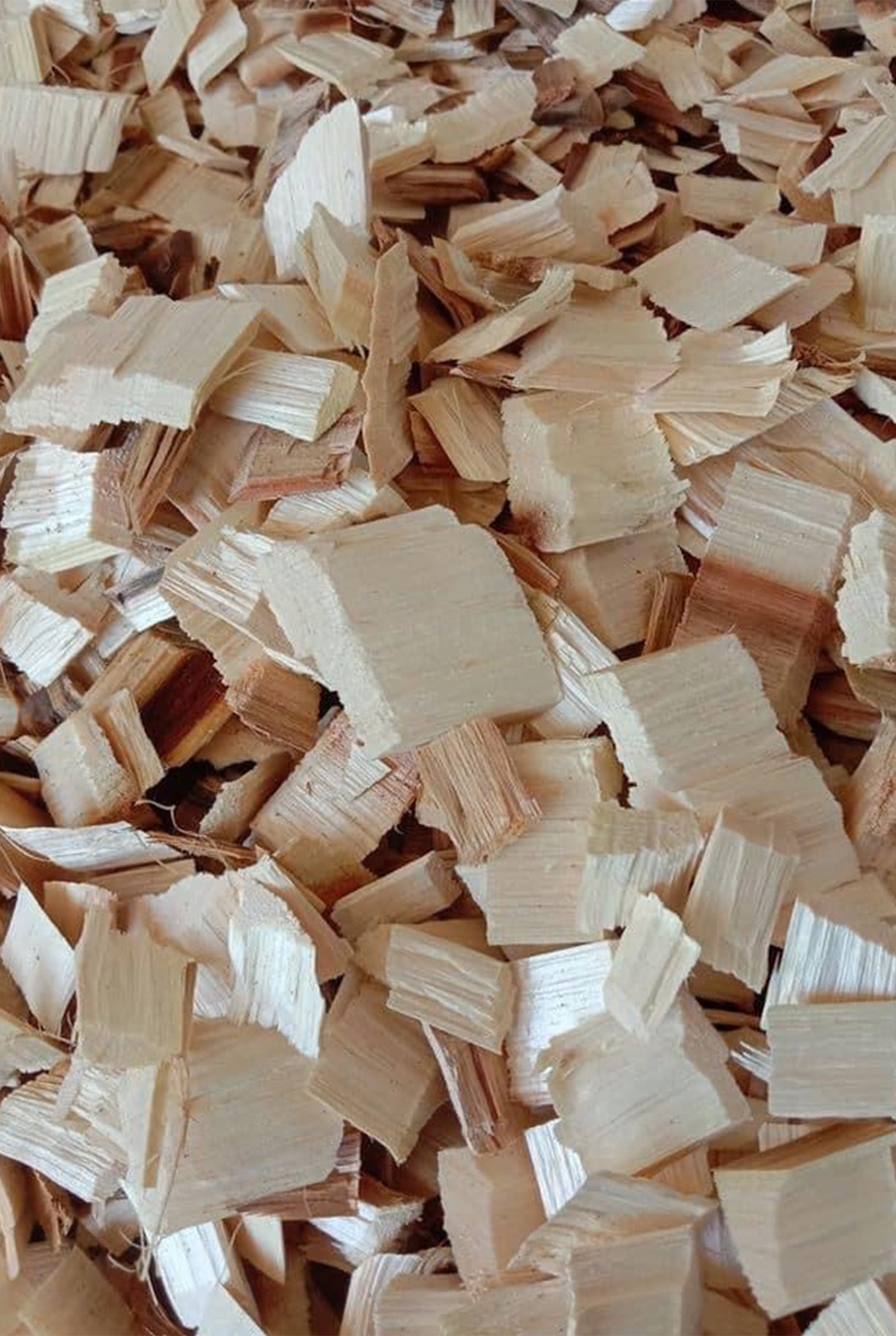 Woodchips for Paper