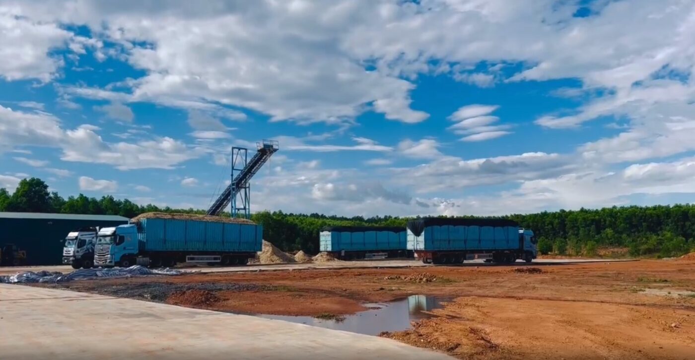 sản xuất dăm gỗ nhà máy Lệ Thủy